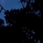 nizami-rayonunda-usaq-parki-zulmet-icinde-8211-video