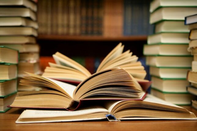 Əsərlərin icazəsiz istifadəsi və təzminat: Yazıçılar bunları bilməlidir