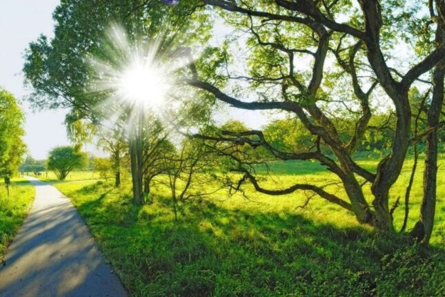 Noyabrın ilk gününün HAVASI Noyabrın ilk gününün HAVASI