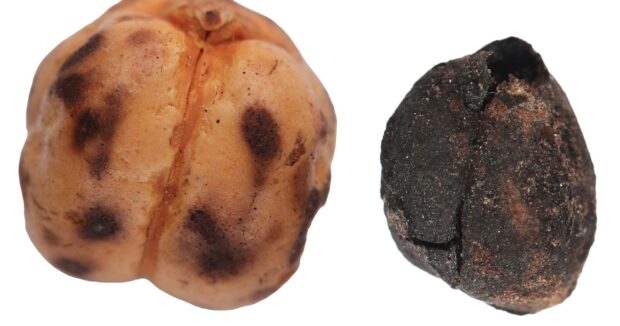 Qədimdən bu günə qədər gələn Türkiyə çörək irsi – Fotolar Qədimdən bu günə qədər gələn Türkiyə çörək irsi – Fotolar