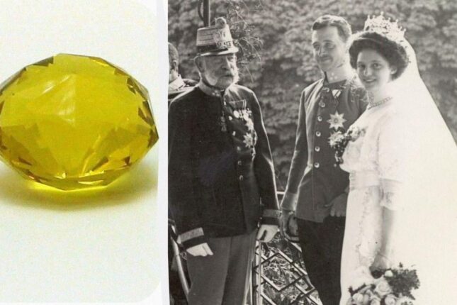 100 il itkin sayılan Habsburq brilyantı Kanadada tapıldı 100 il itkin sayılan Habsburq brilyantı Kanadada tapıldı