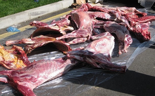Bakıda 2 tona yaxın yararsız ət aşkarlandı – BİRGƏ ƏMƏLİYYAT-VİDEO