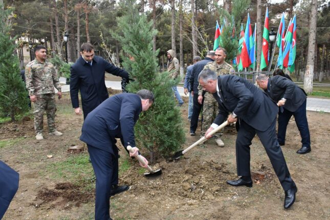 Zəfər Günü münasibəti ilə Abşeronda ağacəkmə aksiyası keçirildi – Fotolar Zəfər Günü münasibəti ilə Abşeronda ağacəkmə aksiyası keçirildi – Fotolar