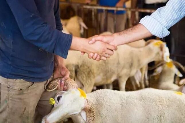 Bu bazarlar fəaliyyət göstərməyəcək – Xəbərdarlıq