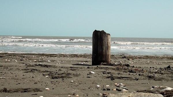 Xəzər dənizi iki yerə bölünəcək – Alimdən ŞOK AÇIQLAMA