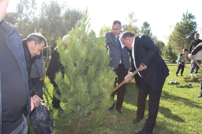 Xətai rayonunda ağacəkmə aksiyası keçirilib – FOTOLAR