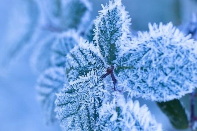 Bu qış Bakıda sərt keçə bilər – XƏBƏRDARLIQ Bu qış Bakıda sərt keçə bilər – XƏBƏRDARLIQ